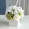 White bottle of hydrangea fruit, white