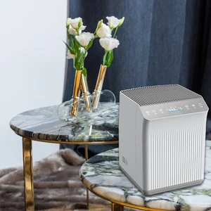 Natural Air Purifier With Good Price PM 2.5 Filter Replacement Sterra Moon HEPA Filter Electric Power Source EU Plug Type
