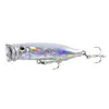 Silverfish