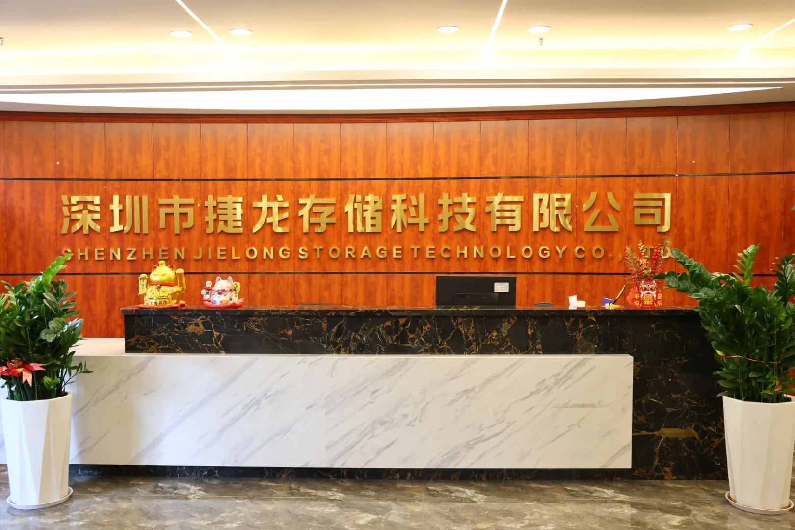 Shenzhen Jielong Storage Technology Co., Ltd. 1