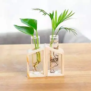 Glas vermehrung sset mit Bambus halter. Glas Reagenzglas Pflanze Terrarium/Mini  Vase Tpfe fr Hydro ponik Pflanzen fr Raum dekor| Alibaba.com