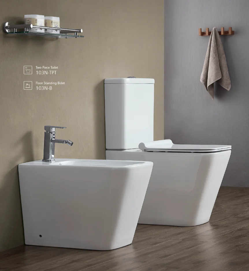 Europe standard white color wc sanitary ware p trap toilet bathroom ceramic two piece back to wall toilet details