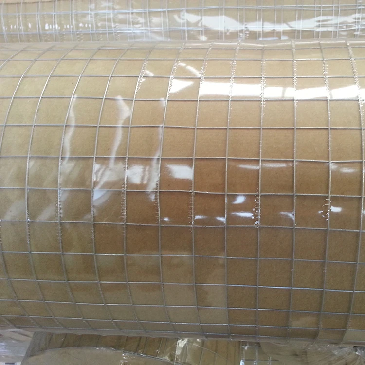 Qiangguan Direct Factory Welded Wire Mesh 1"x1" Aviary Fencing Fence Chicken Rabbit Garden Galvanised 10m
