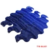 T1B/BLUE1