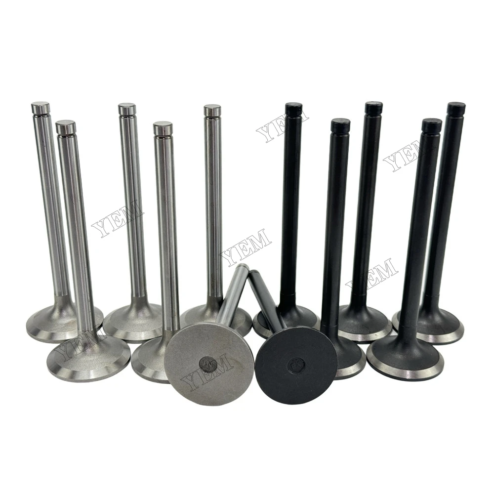 Intake and Exhaust Valve Fit for Hino EK100 Engine
