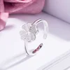 Anillo