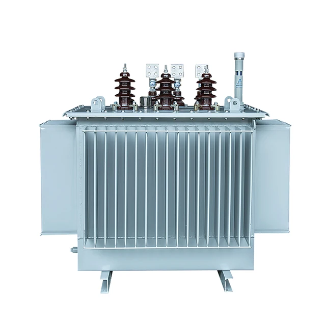 Temperature Cold Resistance S13-M 50 100  500  1000  2500kVA 11kv 33kv Step Down Voltage Oil Immersed Distribution Transformer