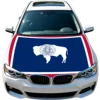 Wyoming Flag