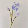 Alice iris azul claro
