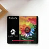 24 colori