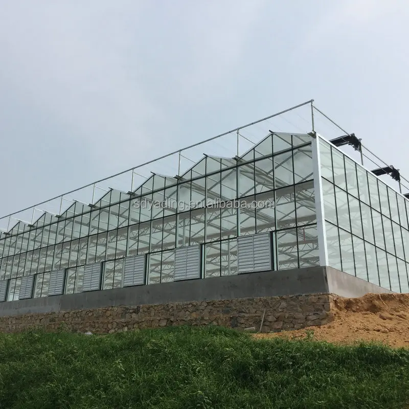 Full Automatic Fiberglass Sheet Greenhouse For Sale With Shading System