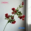 #8สีแดง