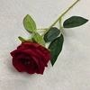 Rojo oscuro
