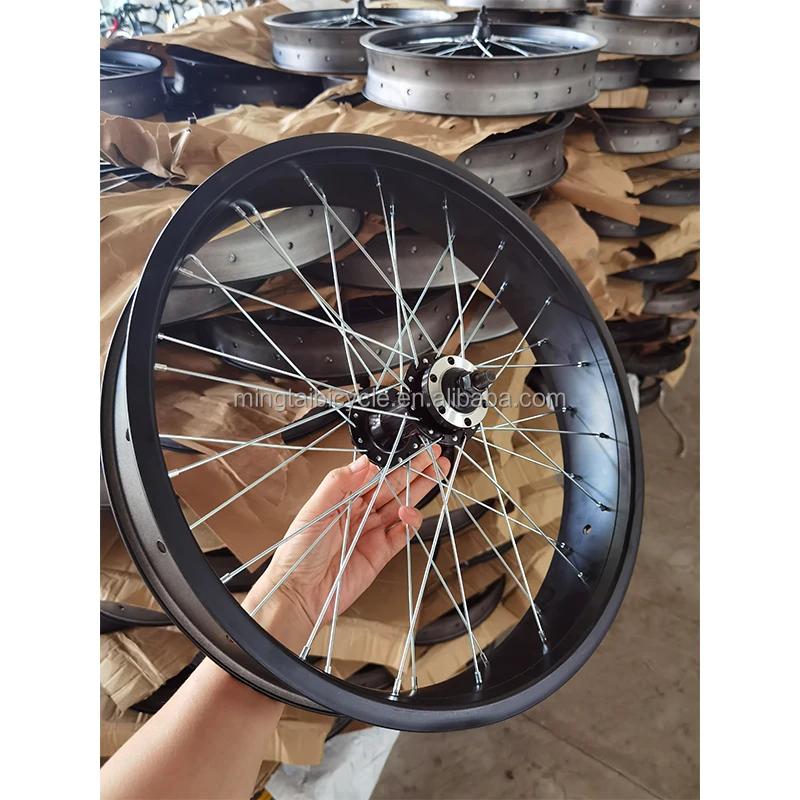Fat Bike Double Wall Alloy Wheel 20 4.0 With Bearing Hub Buy Alloy