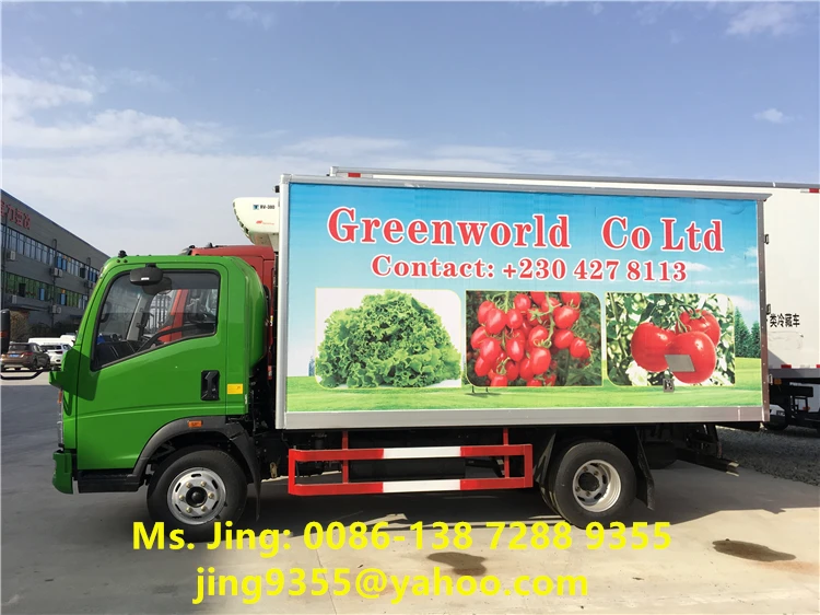 4x2 HOWO 5T Cold Storage Van Small Freezer Refrigerated