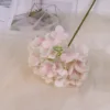 Pink branch