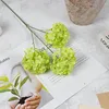A light green branch