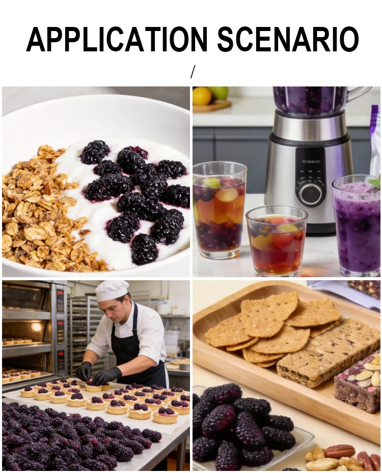 product wholesale frozen mulberry cheap bulk passed new crop brine preserved whole frozen mulberry-5