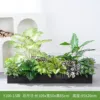 hc-Y100-15 es adecuado para jardineras de 100 cm.