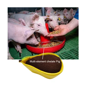 HIGH-QUALITY MULTI-ELEMENT CHELATED FEED-GRADE ADDITIVE, USED FOR FORTIFIED PIG FEED WITH HIGH NUTRITIONAL VALUE