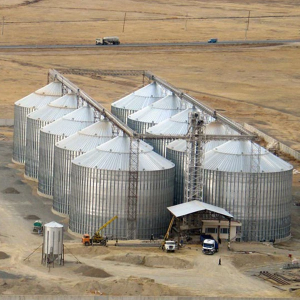 Multifunctional 2000 Ton Grain Silo