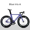 Blue Iris-A