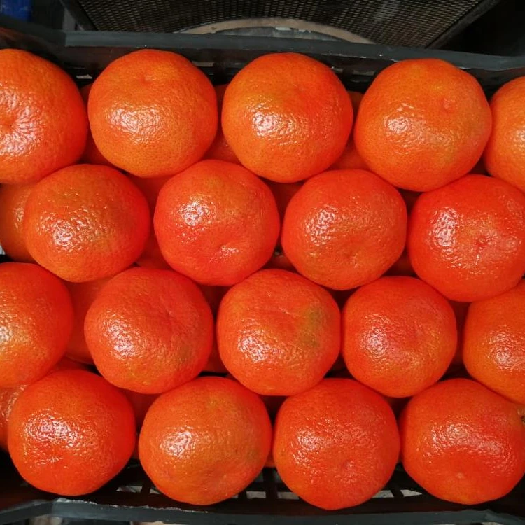 Citrus Fresh Orange мандарины