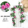 Rose vines - purple