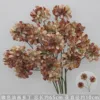 Brown oil painting Dodin branch