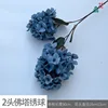 2-headed stupa hydrangea RHW Navy blue