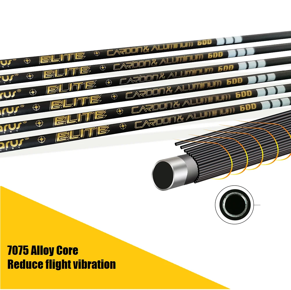 TENPOINT PRO ELITE カーボン矢 ＆ アルミ矢 まとめ売り TENPOINT PRO ELITE カーボン矢 ＆ アルミ矢 まとめ売り TENPOINT PRO