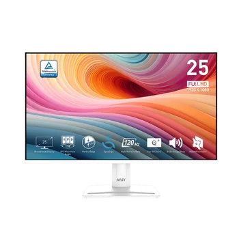 MSI PRO MP251W E2 - 24.5