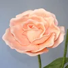 pink 30cm