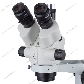 AmScope SM-4BX-B Microscopio Stereo Binoculare 3.5X-45X Con Braccio Doppio &ndash; Nuovo