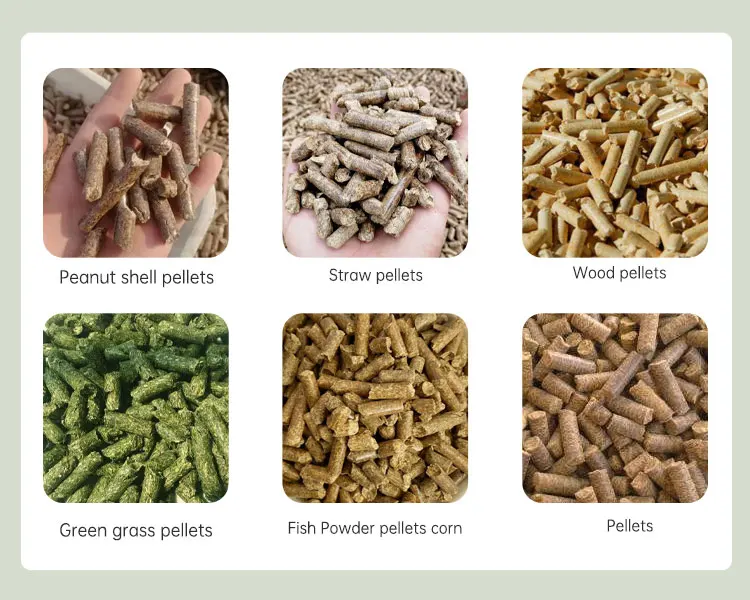 Home Use Small Animal Feed Processing Machine Feed Wood Pellet Chicken