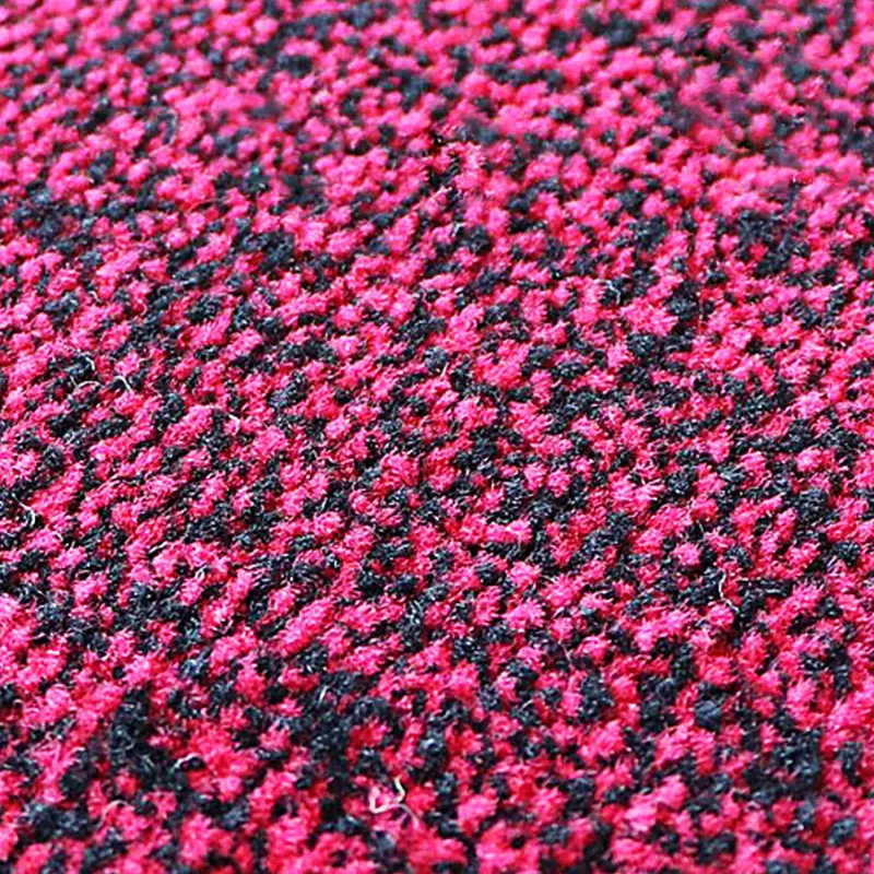 Factory Price Absorbing Entrance Mat Commercial Carpet Non-slip Dust Removal Dewatering for Mall Entrance Exhibition Hall