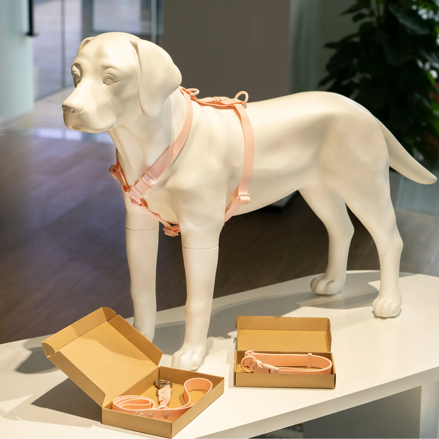 Sunray Mascota New 2024 Manufacturer Custom Logo Waterproof Pvc Pet Dog