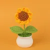 Yellow Finished sunflower small potted plant (6cm)