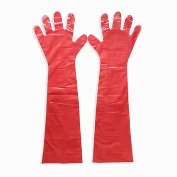 Veterinary Instrument Gloves for Pet Artificial Insemination and Rectal Examination for Diagnosis and Palpation