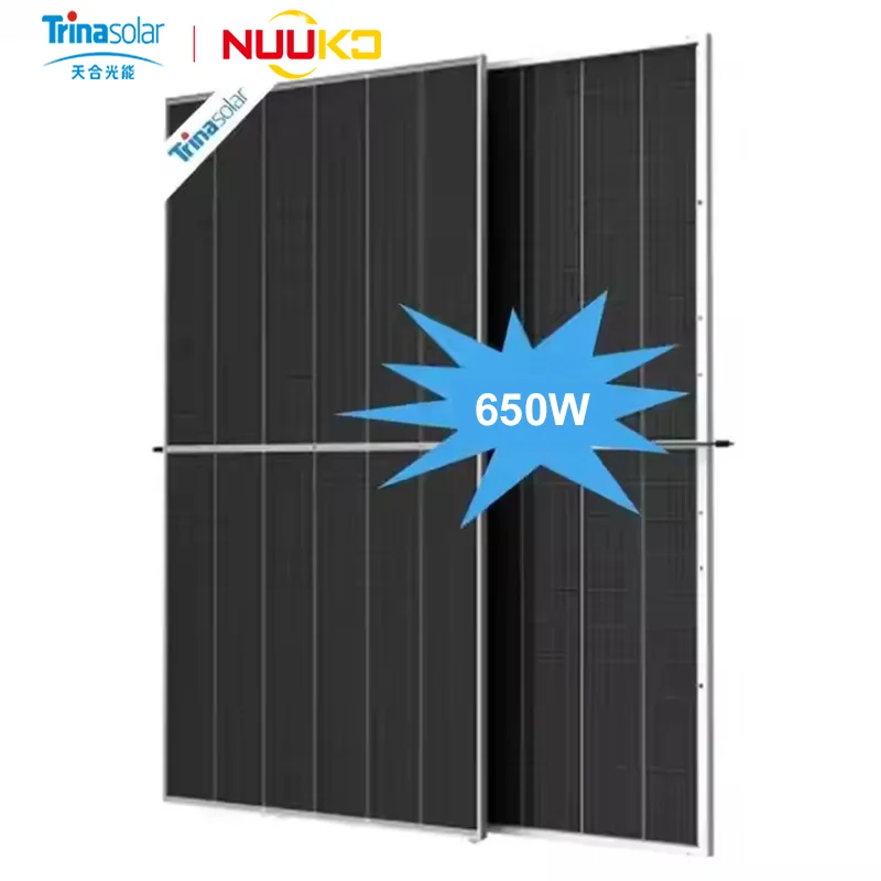 Trina Topcon Bifacial Double Glass Solar Panels 645W 655W 665W 650W ...