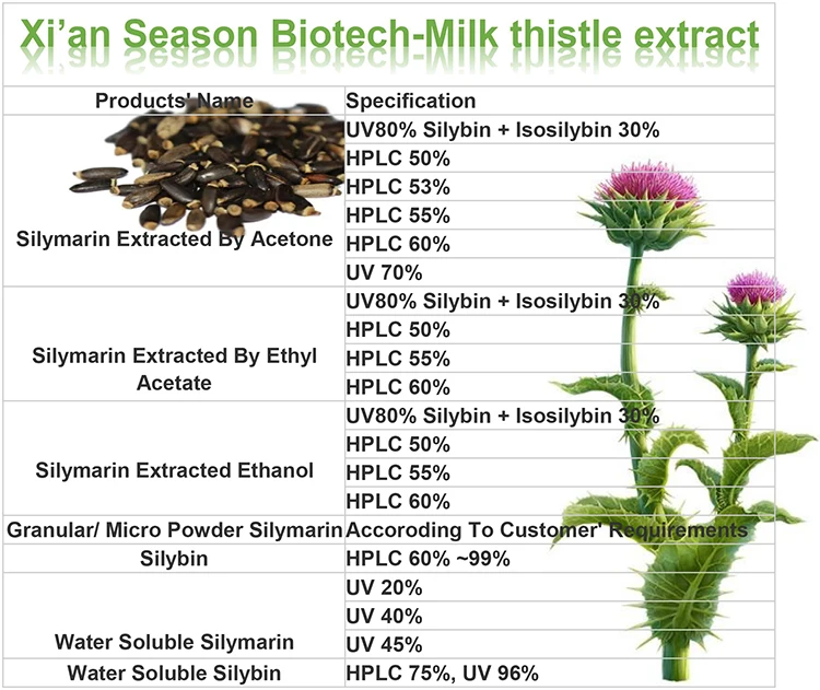 Milk Thistle ExtractXi'an Season Biotechnology Co., Ltd