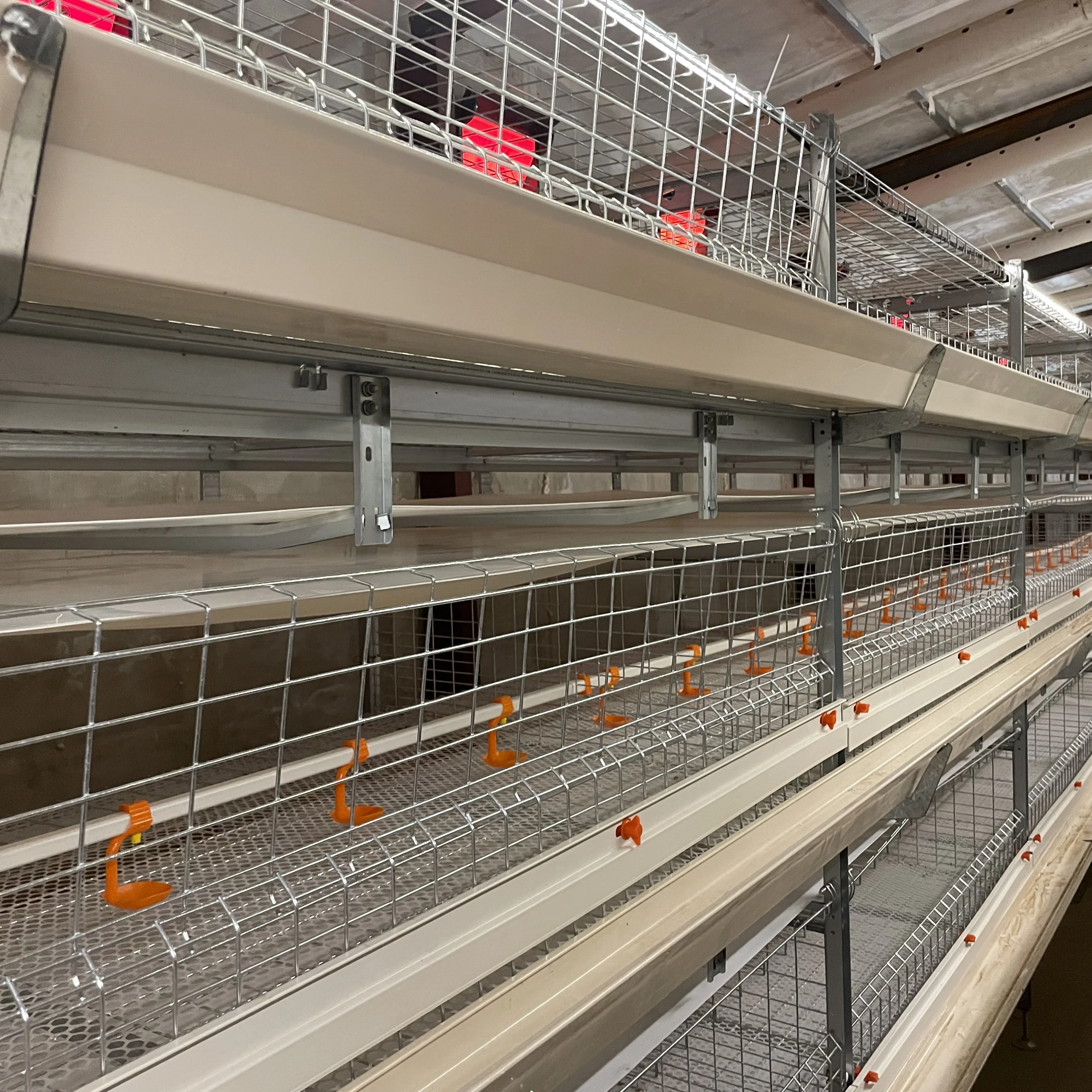 Broiler Cage Automatic h Shape with Trolley Feeding System Battery Cages for Poultry Broiler Long Life Chicken Broiler Cage