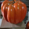 14-50cm yellow pumpkin