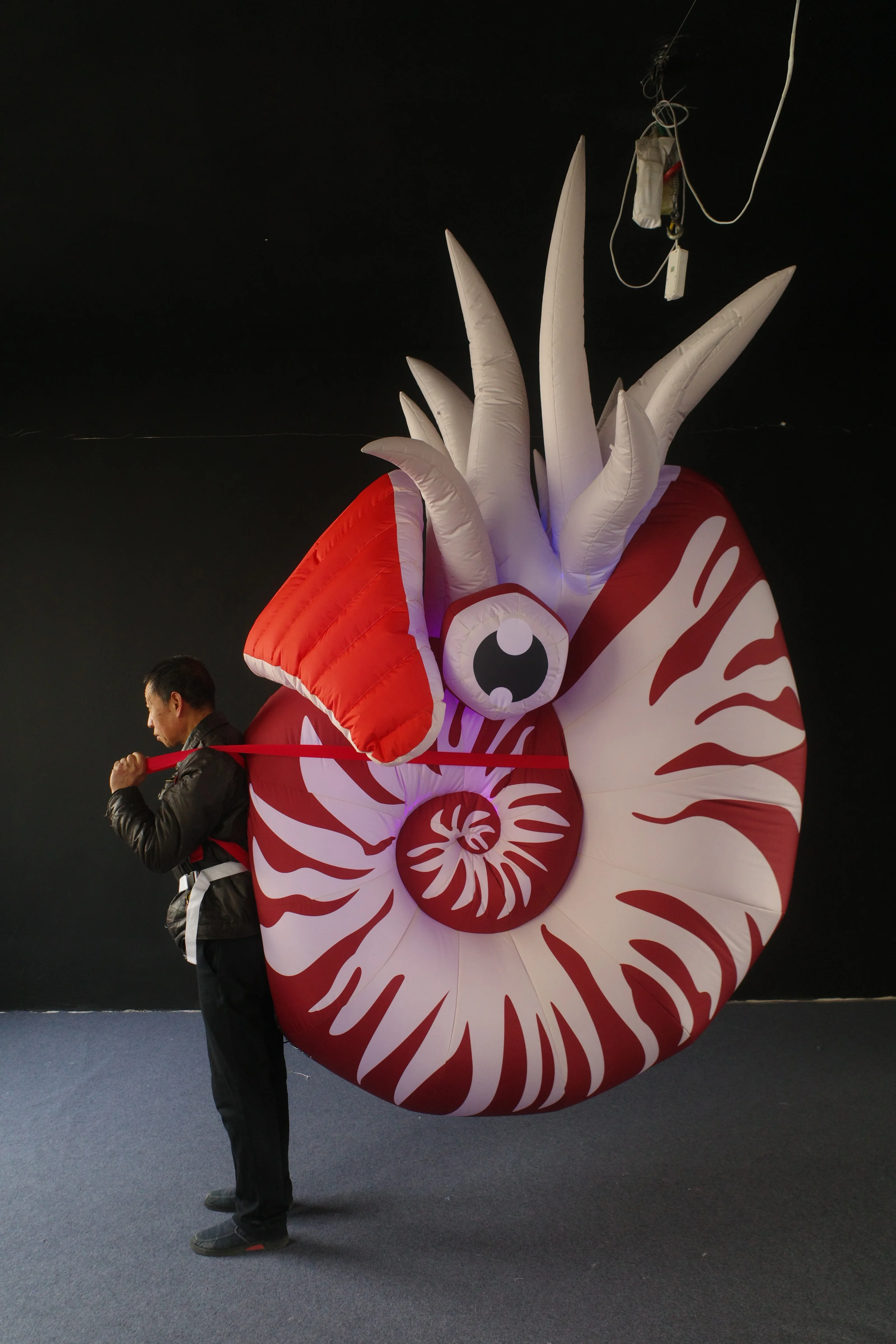 Wearable Nautilus Inflatable Costume for Parade Event, Durable Walking Inflatable