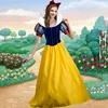8681 [Skirt, Cape, Headwear, Large Petticoat]