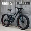 Blue spoked wheel