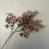 สีม่วงอ่อน