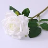 สีขาว