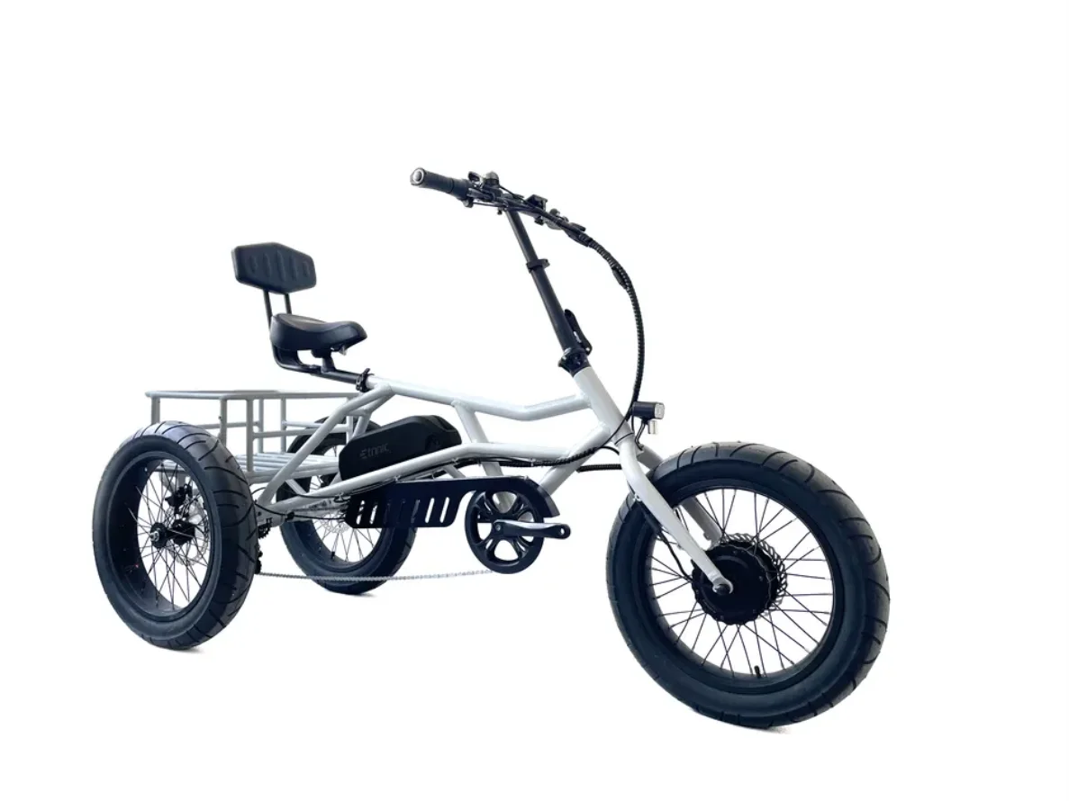 Three Wheel E Bike Electric Tricycles 3 Wheel Folding Cargo Trikes Fat ...