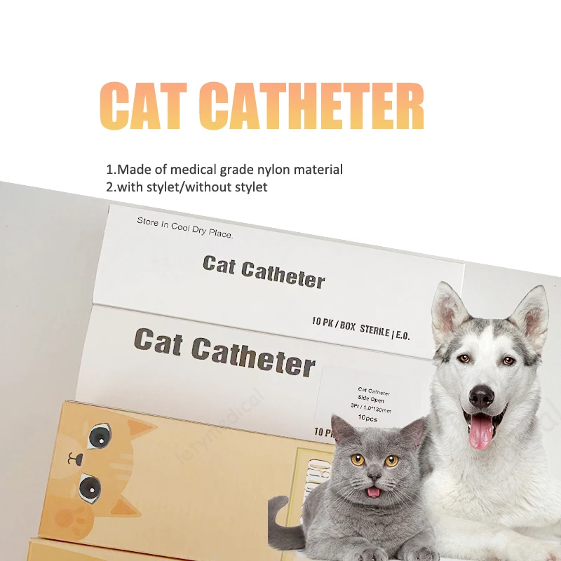 cat catheter.jpg